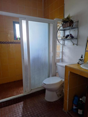House Irene